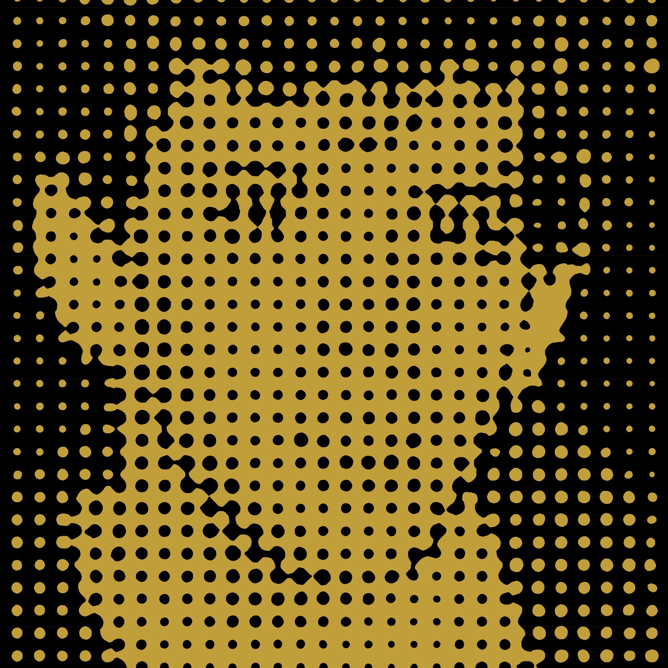 Playback Party - Lou Reed - Words & Music, May 1965