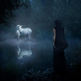 Noah Cyrus - I WANT MY LOVED ONES TO GO WITH ME