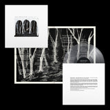 These New Puritans - Crooked Wing