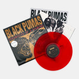 Black Pumas - Chronicles of a Diamond