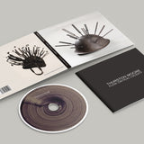 Thurston Moore - Flow Critical Lucidity