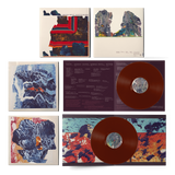 Grizzly Bear - Painted Ruins