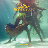 Janelle Monáe - The Age Of Pleasure