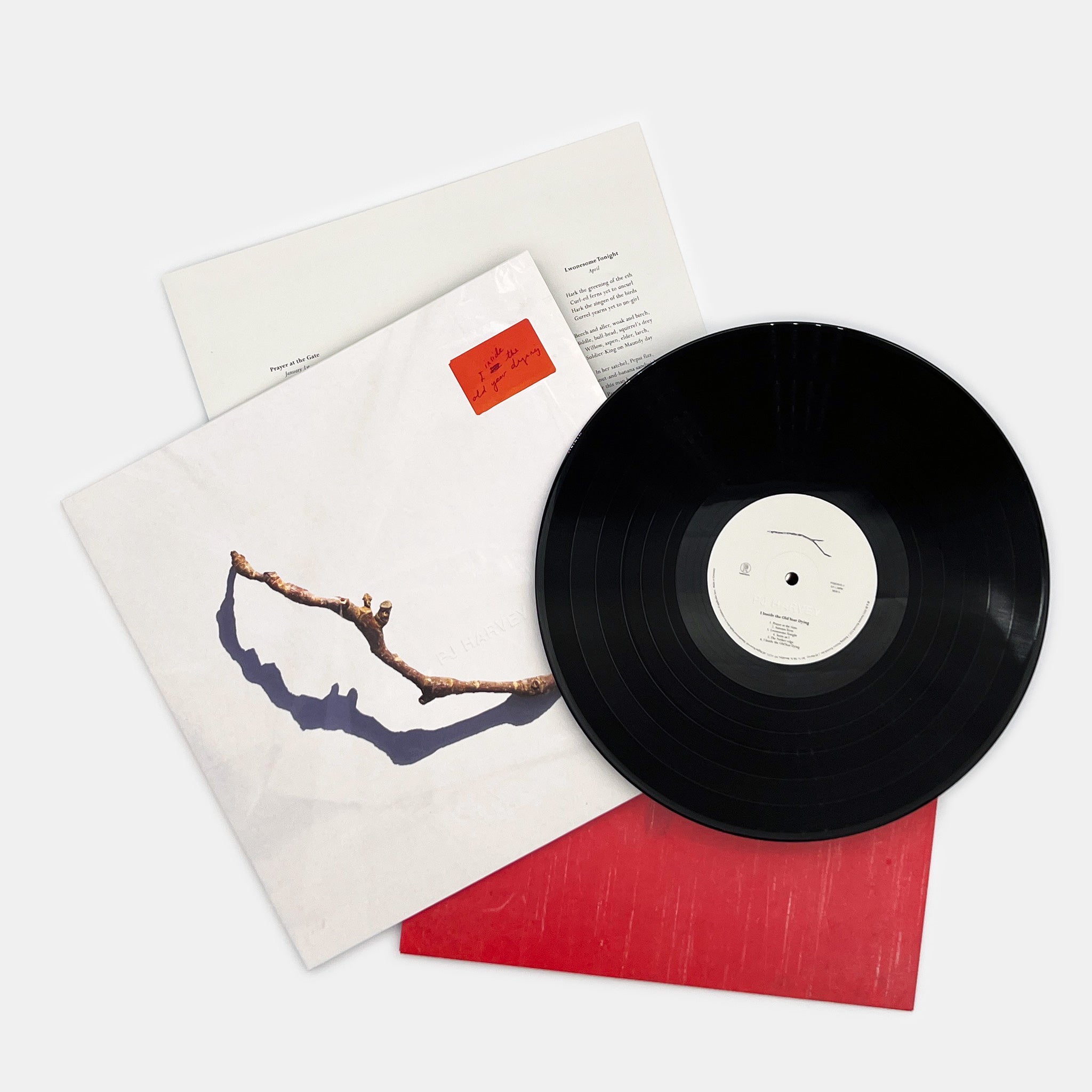 vægt klasselærer afrikansk PJ Harvey - I Inside the Old Year Dying – The Drift Record Shop