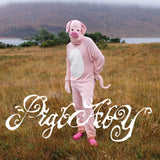 pigbaby - i don't care if anyone listens to this shit once you do