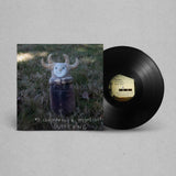 MJ Lenderman & Wednesday - Guttering