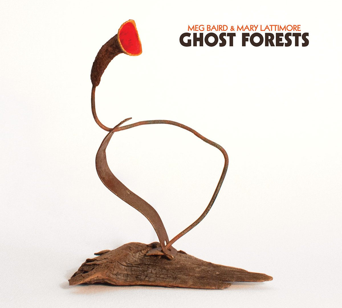 Meg Baird & Mary Lattimore - Ghost Forests