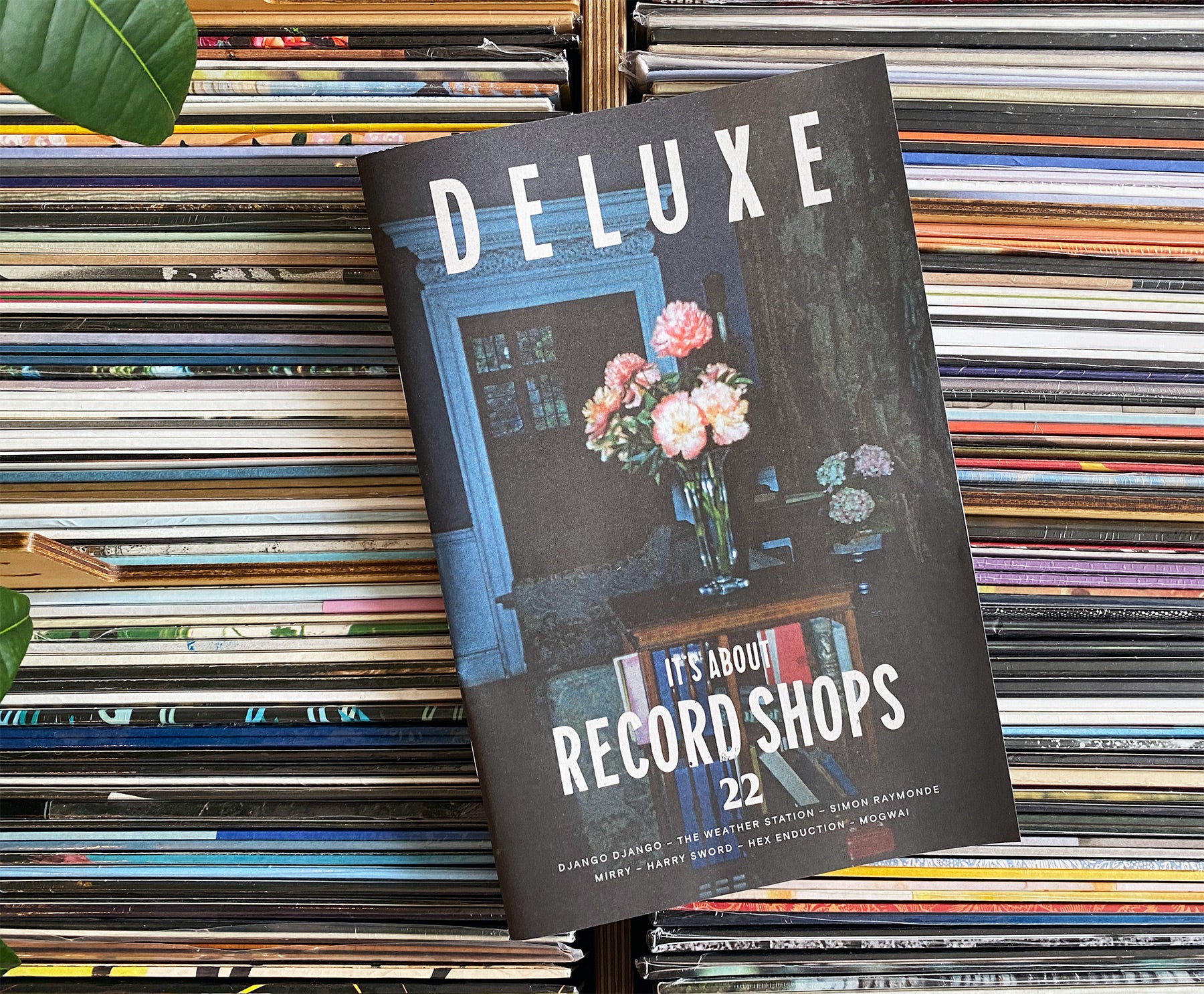 Deluxe Issue Twenty-Two
