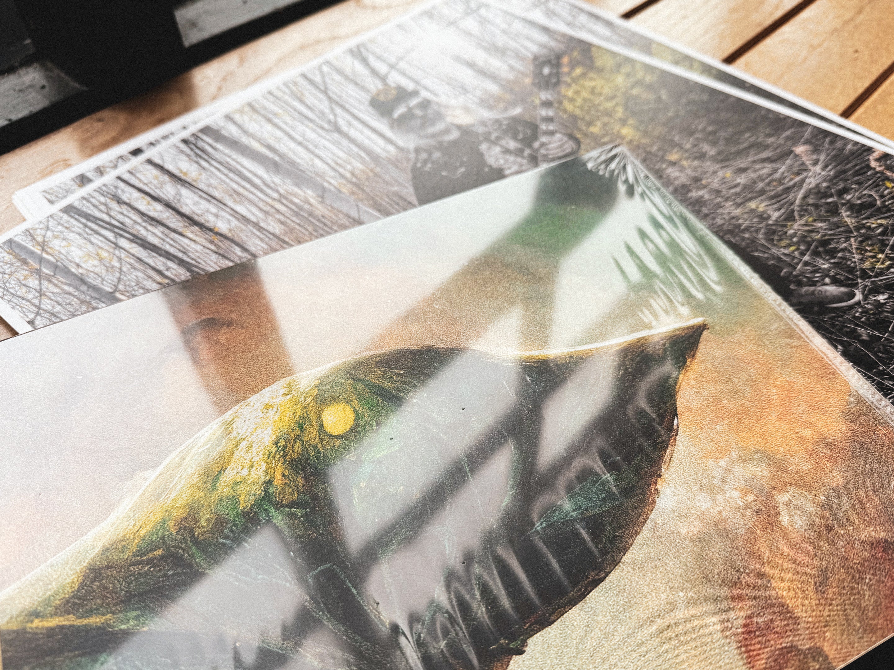 Records of the Week: Plantoid, J Mascis, Soft Walls and The Last Dinner Party.