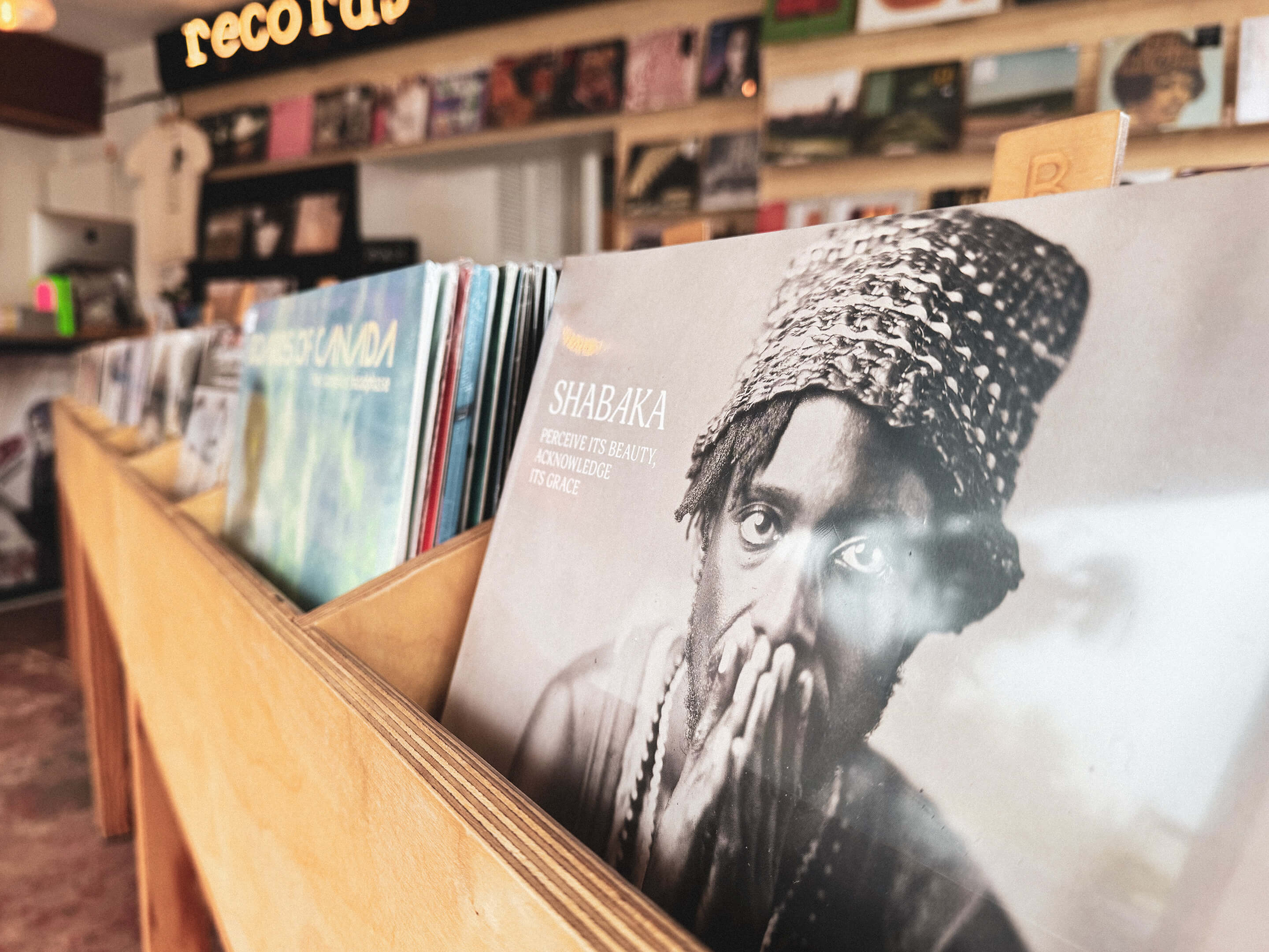Records of the Week: Shabaka, BODEGA, James Elkington and Nathan Salsburg, The Reds, Pinks And Purples, Lynks, English Teacher, MELTS and METZ!