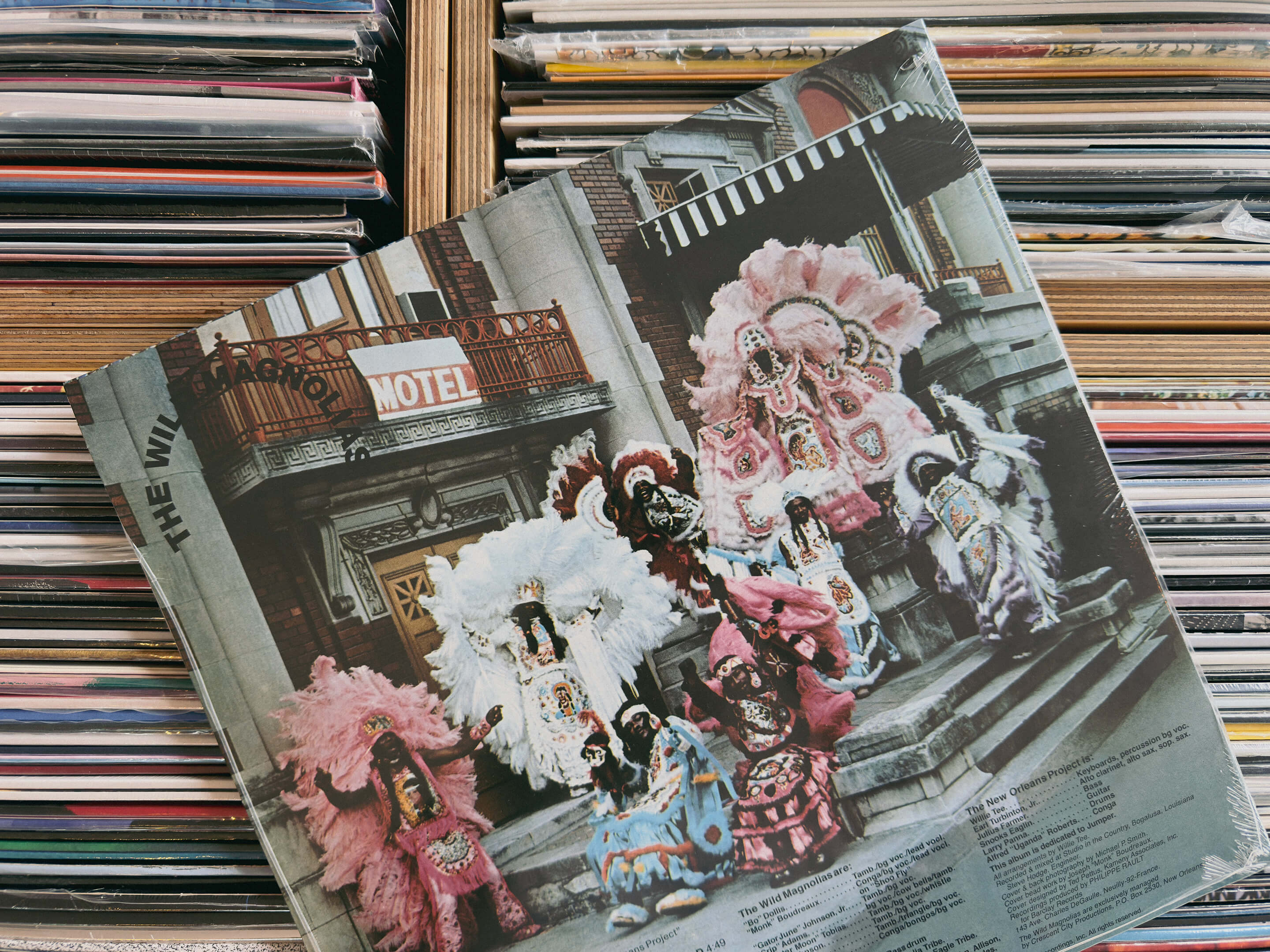 Grinderman, Tidiani Koné and Orchestre Poly-Rythmo, Sun Ra, Eddie Henderson, Donald Byrd and The Wild Magnolias.