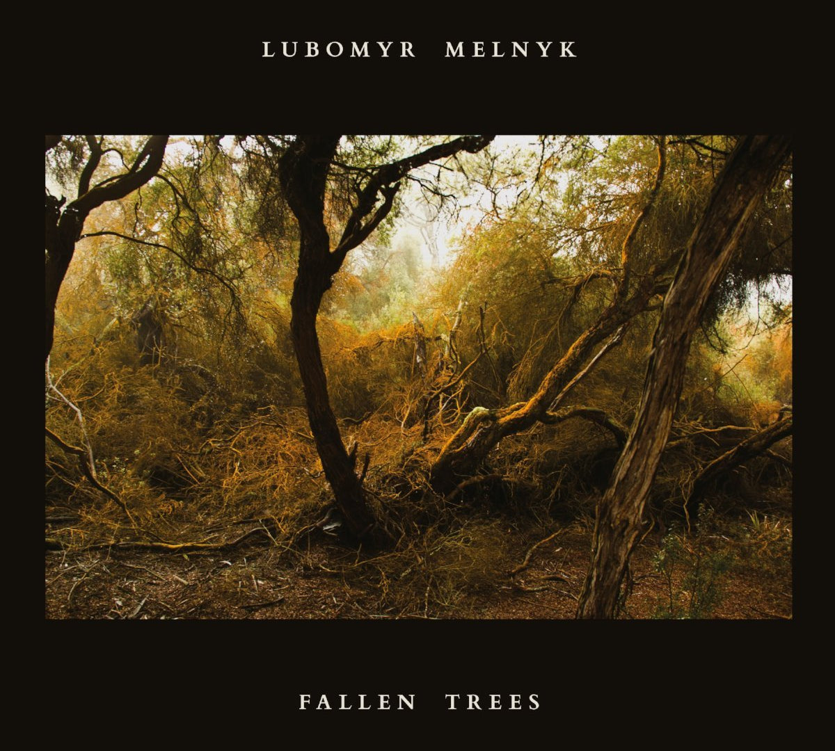 Lubomyr Melnyk - Fallen Trees