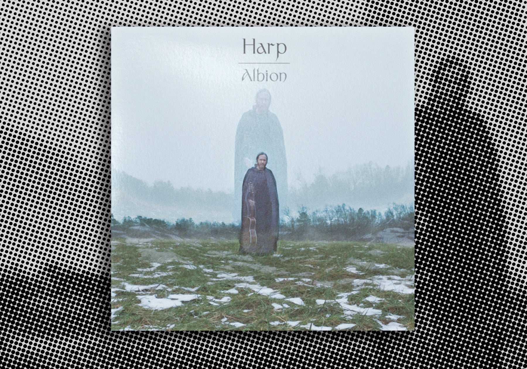 Record of the Month: Harp - Albion