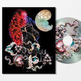 Björk - Cornucopia Live