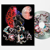Björk - Cornucopia Live