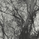 Grouper - Way Their Crept