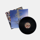 Laetitia Sadier - Rooting For Love