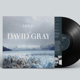 David Gray - Life in Slow Motion [20th Anniversary Edition]