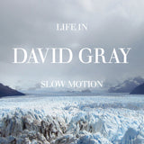 David Gray - Life in Slow Motion [20th Anniversary Edition]