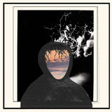 doseone & Steel Tipped Dove - All Portrait, No Chorus