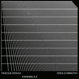 Tristan Perich, Ensemble 0 - Open Symmetry