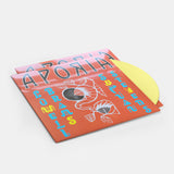 Sufjan Stevens & Lowell Brams - Aporia