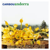 Caribou - Andorra [15th Anniversary Edition]