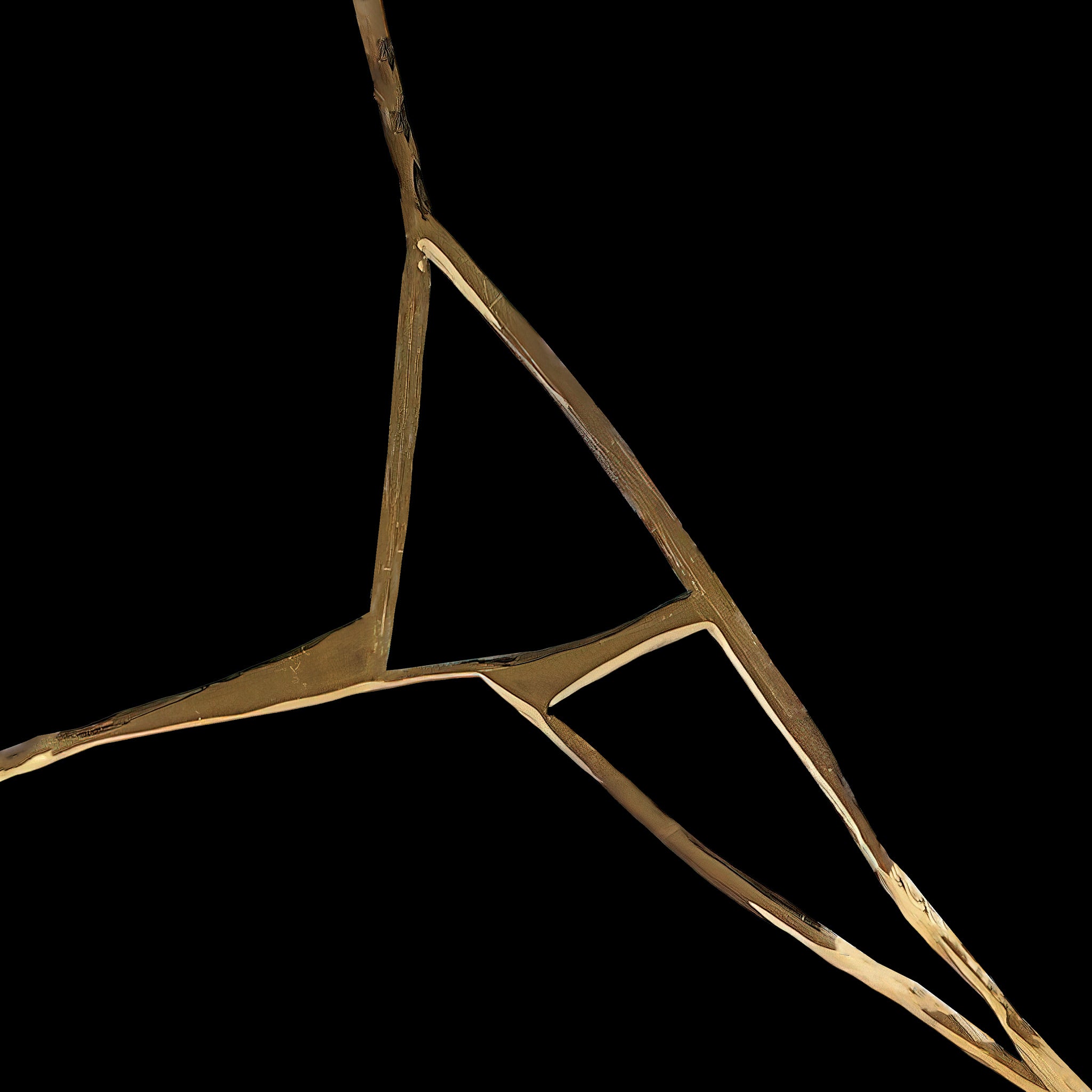 Sam Slater - I Do Not Wish To Be Known As A Vandal LP - Dinked Edition